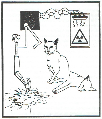 Schr&ouml;dinger&rsquo;s cat
